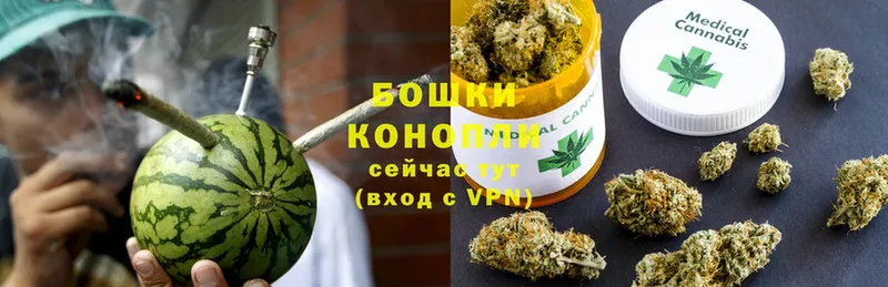 МАРИХУАНА White Widow  продажа наркотиков  Северская 